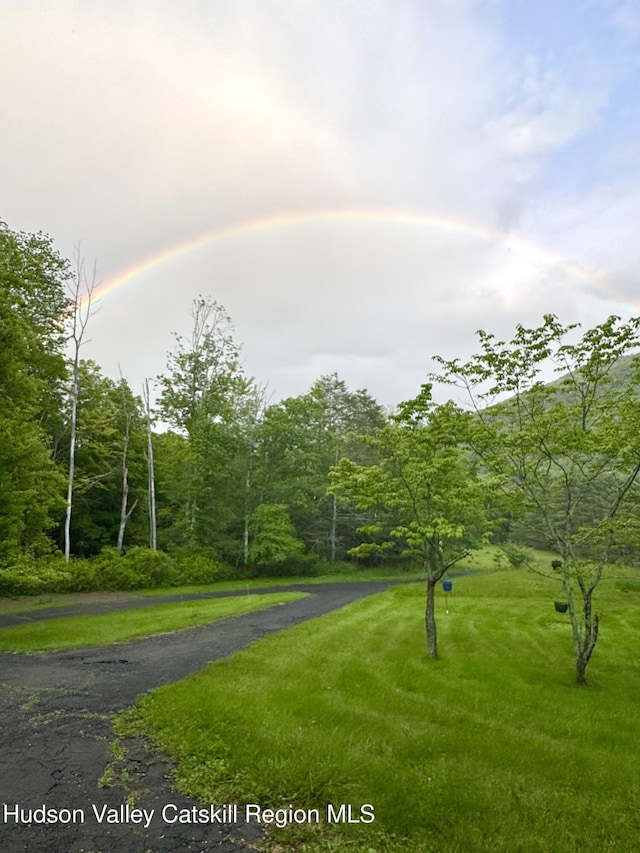 258 Watson Hollow Rd, West Shokan, NY 12494 - view of property's community