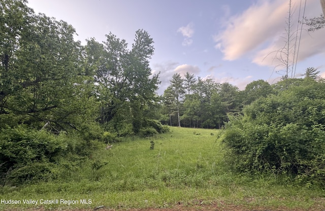 258 Watson Hollow Rd, West Shokan, NY 12494 - view of undeveloped land