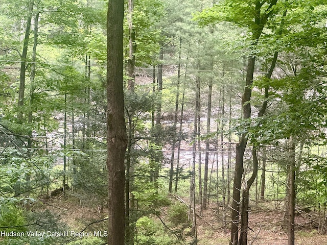 258 Watson Hollow Rd, West Shokan, NY 12494 - view of tree filled area