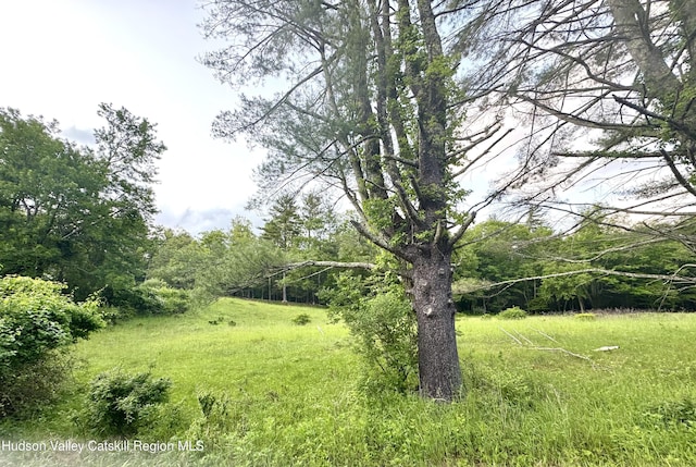 258 Watson Hollow Rd, West Shokan, NY 12494 - view of yard with a forest view