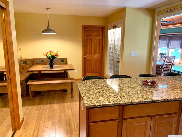 160 Willowbrook Rd, Hudson, NY 12534 - kitchen featuring light wood-type flooring, light stone countertops, and decorative light fixtures