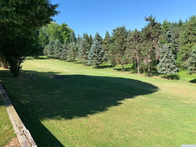 160 Willowbrook Rd, Hudson, NY 12534 - view of grassy yard