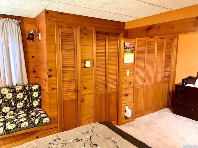 160 Willowbrook Rd, Hudson, NY 12534 - bedroom with wooden walls and carpet