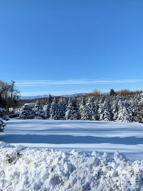 160 Willowbrook Rd, Hudson, NY 12534 - view of snowy yard