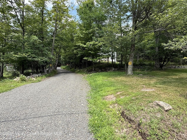 1240 Dymond Rd, Sundown, NY 12740 - photo 15