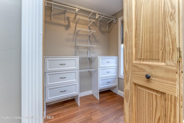 spacious closet with hardwood / wood-style flooring