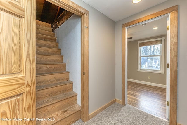 stairs featuring carpet floors