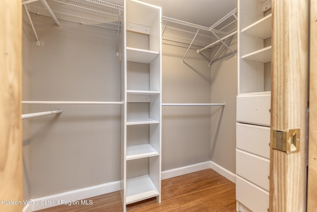 spacious closet featuring wood-type flooring