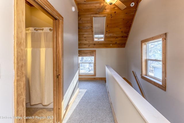 hall featuring lofted ceiling, wood ceiling, a wealth of natural light, and carpet flooring