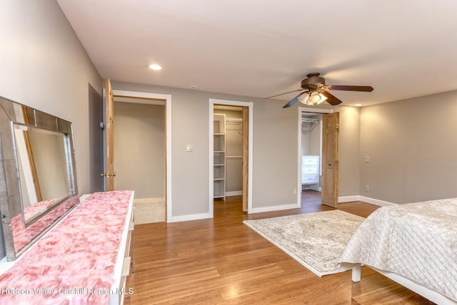 bedroom featuring a walk in closet, two closets, ceiling fan, and light hardwood / wood-style flooring