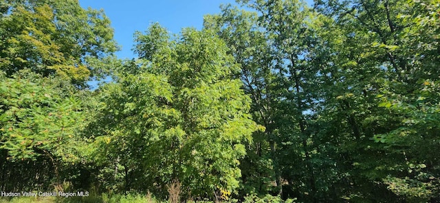 374 N Ridge Rd, Hannacroix, NY 12087 - view of local wilderness