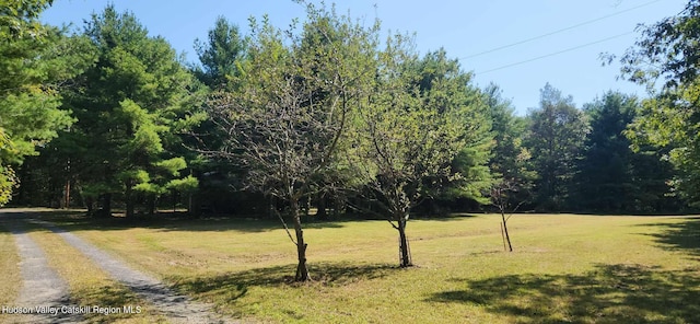374 N Ridge Rd, Hannacroix, NY 12087 - view of grassy yard