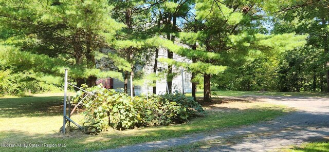 374 N Ridge Rd, Hannacroix, NY 12087 - view of yard