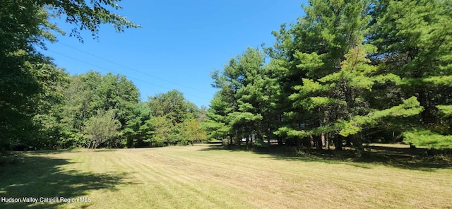 374 N Ridge Rd, Hannacroix, NY 12087 - view of grassy yard featuring a forest view