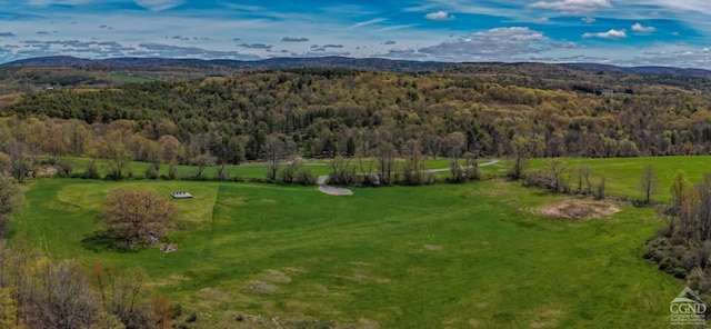 0 Iron Hill Rd, Austerlitz, NY 12017