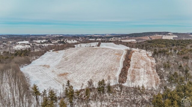 0 Iron Hill Rd, Austerlitz, NY 12017