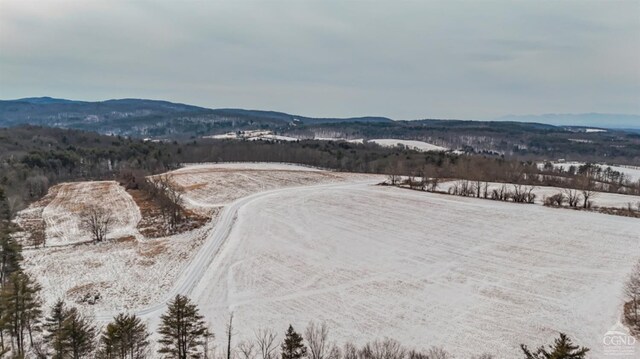 0 Iron Hill Rd, Austerlitz, NY 12017