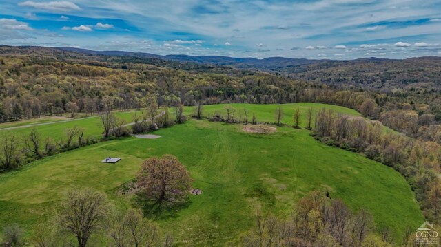 0 Iron Hill Rd, Austerlitz, NY 12017