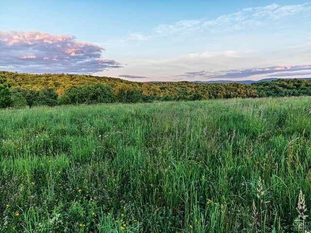 0 Iron Hill Rd, Austerlitz, NY 12017
