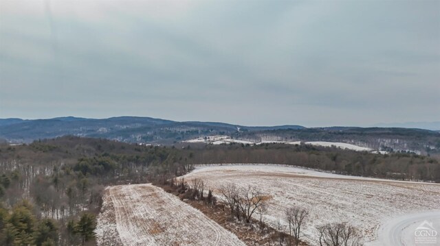 0 Iron Hill Rd, Austerlitz, NY 12017