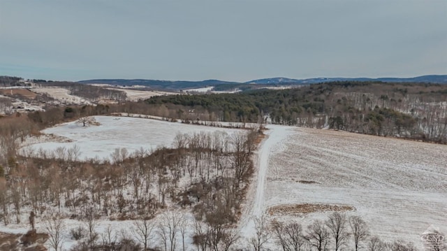 0 Iron Hill Rd, Austerlitz, NY 12017
