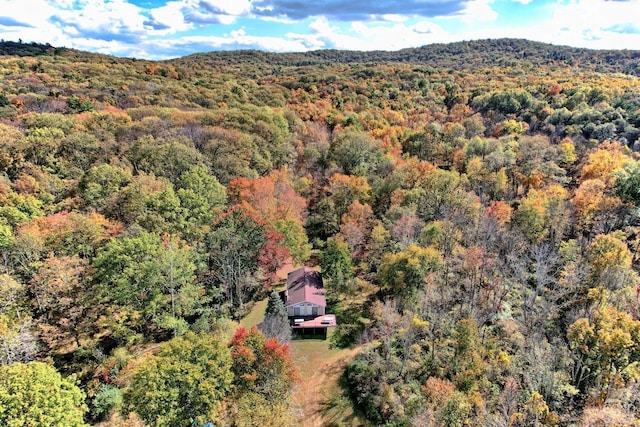 496 New Forge Rd, Ancram, NY 12502 - photo 21