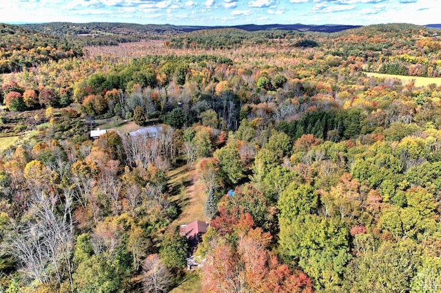 496 New Forge Rd, Ancram, NY 12502 - photo 23