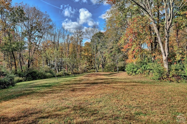 496 New Forge Rd, Ancram, NY 12502 - photo 25