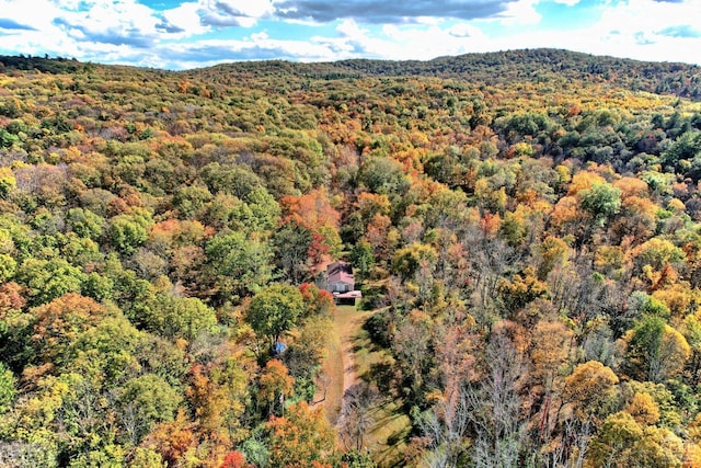 496 New Forge Rd, Ancram, NY 12502 - photo 22