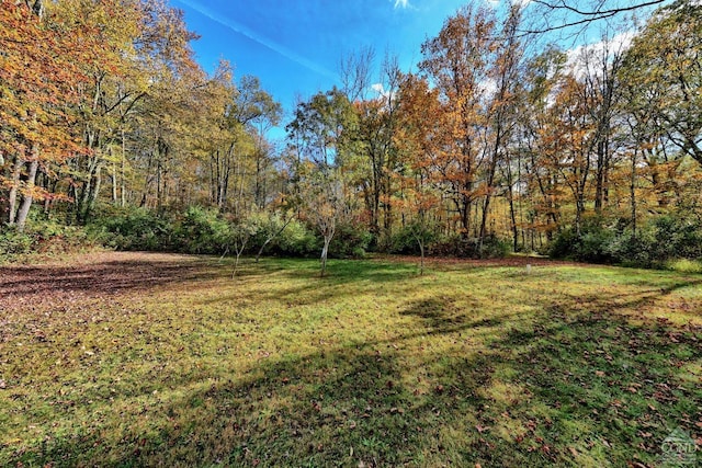 496 New Forge Rd, Ancram, NY 12502 - photo 28