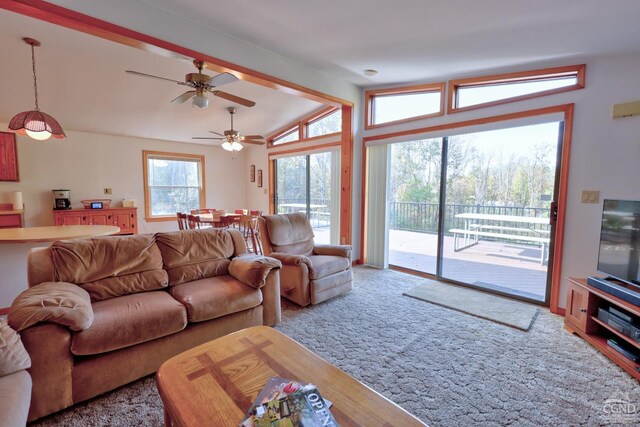 496 New Forge Rd, Ancram, NY 12502 - photo 35