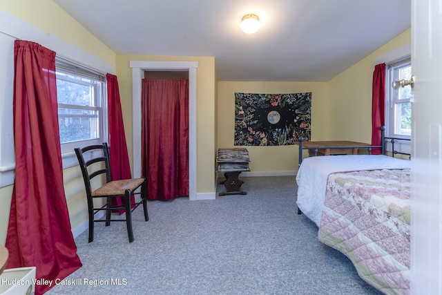 carpeted bedroom with multiple windows