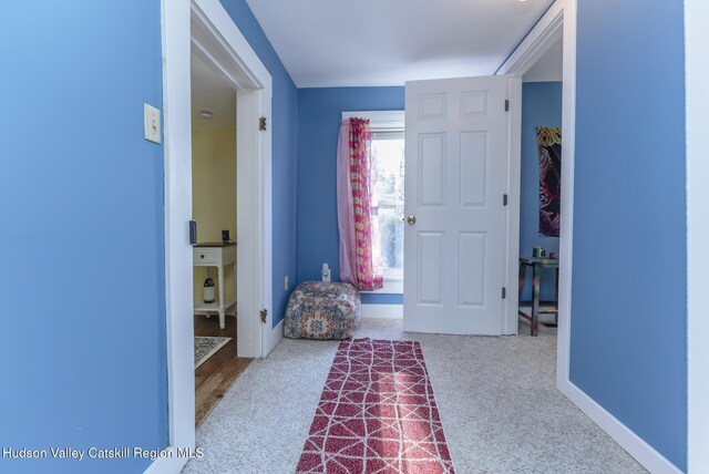 entryway featuring hardwood / wood-style flooring