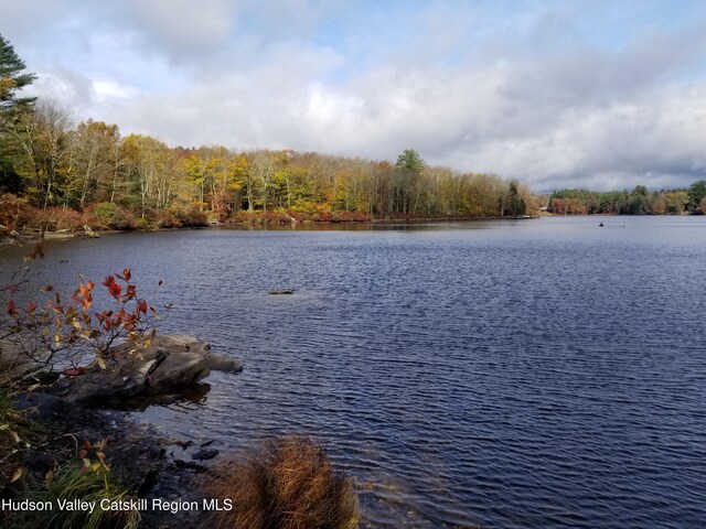 112 E Thompson Pl, Smallwood, NY 12778 - photo 37