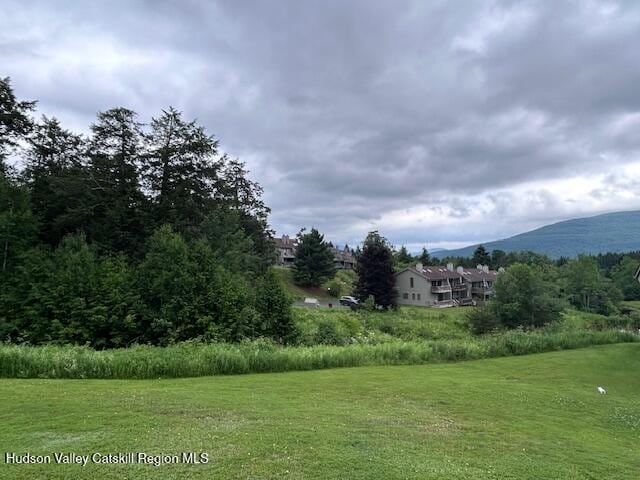 113 Windham Ridge Rd, Windham, NY 12496 - photo 36