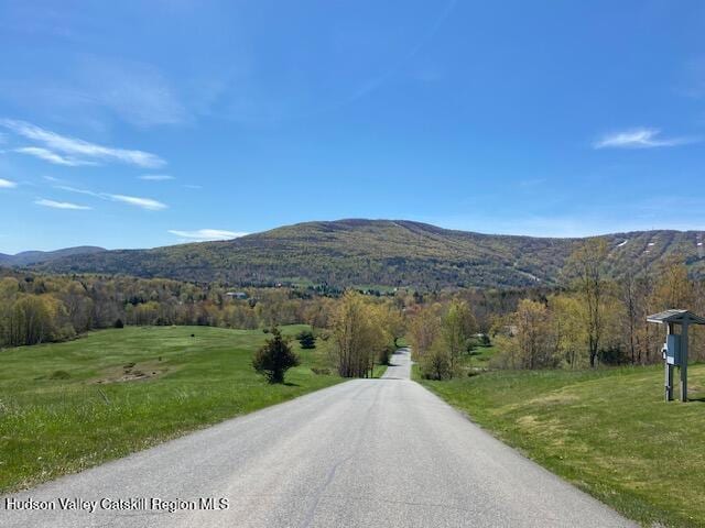 113 Windham Ridge Rd, Windham, NY 12496 - photo 28