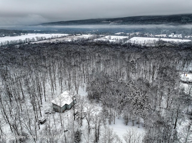 view of snowy aerial view