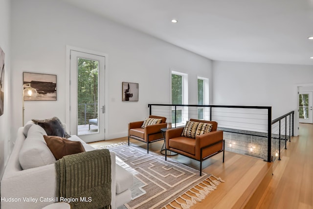 living room with hardwood / wood-style floors and a wealth of natural light