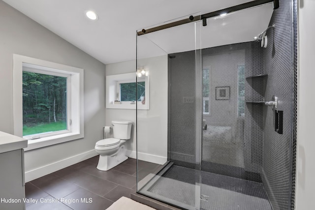 bathroom featuring vanity, vaulted ceiling, a shower with shower door, and toilet