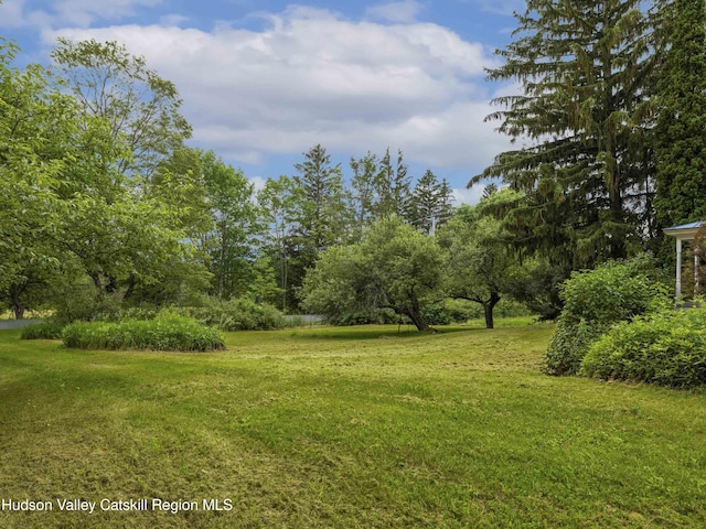 324 Schrader Rd, Ashland, NY 12407 - photo 45