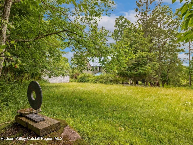 324 Schrader Rd, Ashland, NY 12407 - photo 40