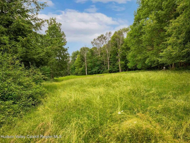 324 Schrader Rd, Ashland, NY 12407 - photo 36