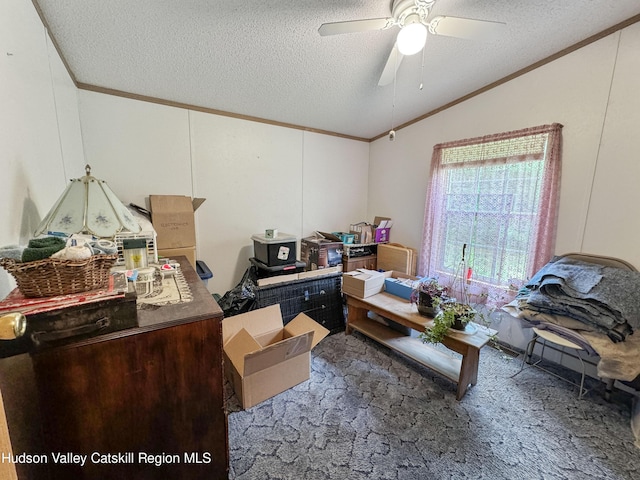 199 Echo Hill Rd, Saugerties, NY 12477 - interior space featuring a textured ceiling, ceiling fan, vaulted ceiling, and ornamental molding