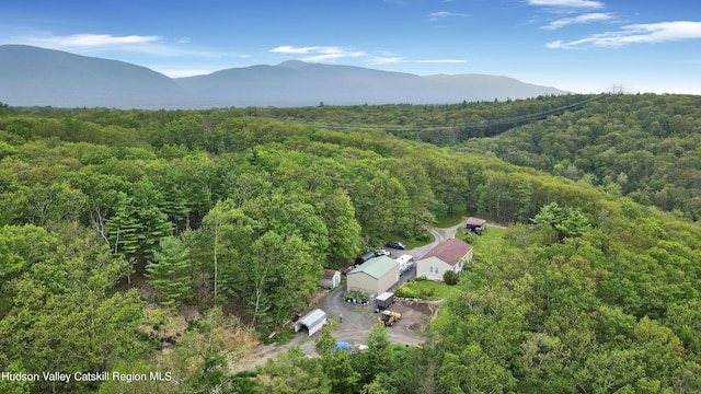 199 Echo Hill Rd, Saugerties, NY 12477 - drone / aerial view featuring a mountain view and a forest view