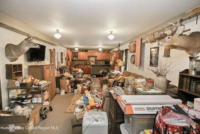 199 Echo Hill Rd, Saugerties, NY 12477 - miscellaneous room featuring light carpet
