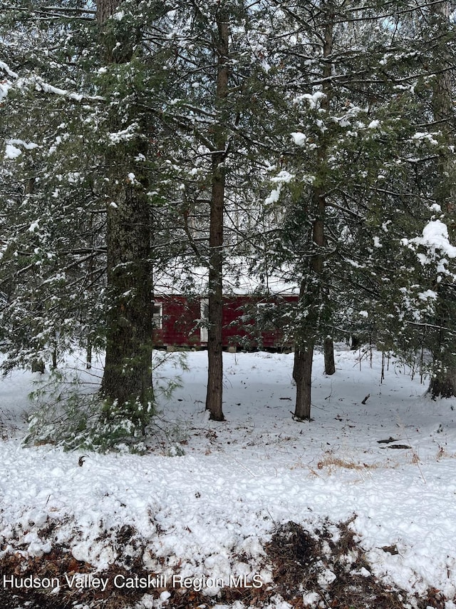 view of snowy view