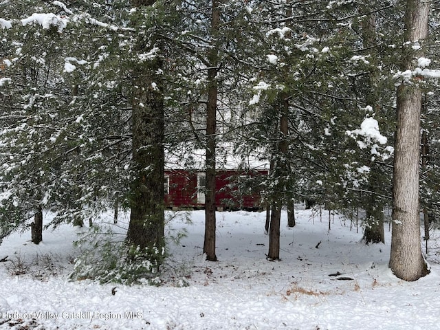 view of snowy view