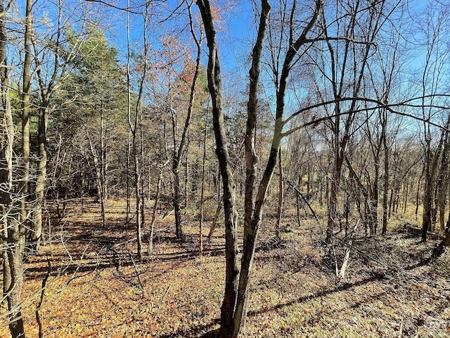 735 Gahbauer Rd, Claverack, NY 12534 - photo 7