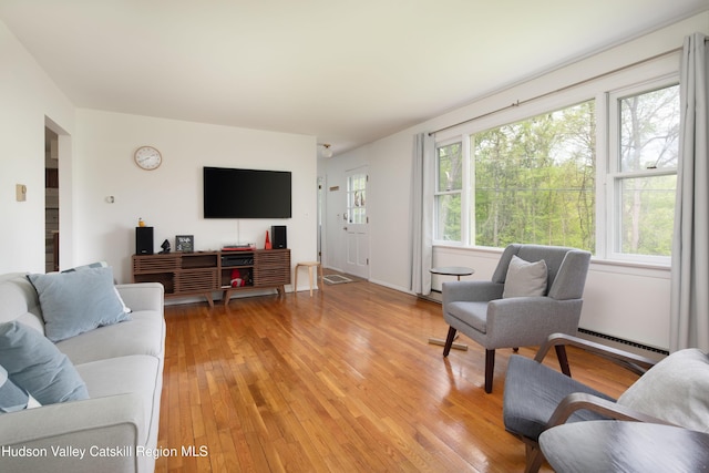 278 Sawchuck Rd, Millerton, NY 12546 - living room featuring light wood-type flooring and a baseboard radiator