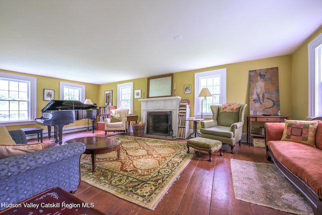 1250 County Route 351, Rensselaerville, NY 12147 - living room with hardwood / wood-style flooring, healthy amount of natural light, and a fireplace with flush hearth